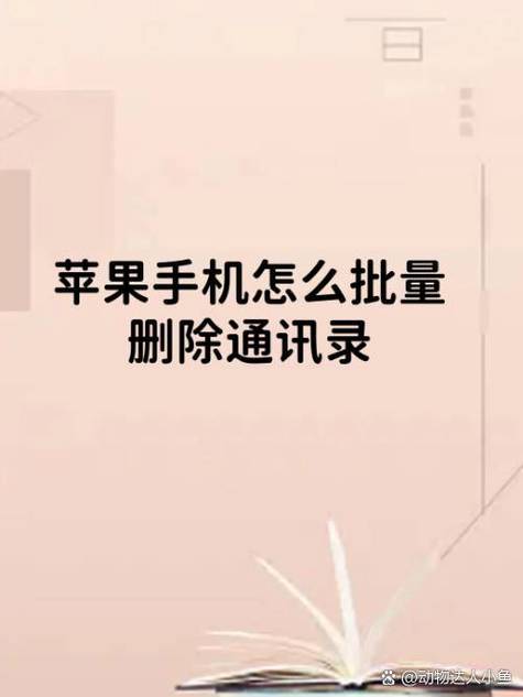 苹果11怎么批量删除通讯录联系人