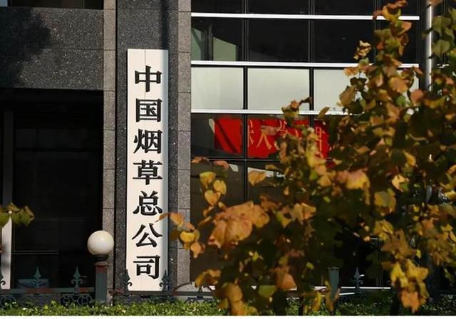 烟厂是铁饭碗吗图标