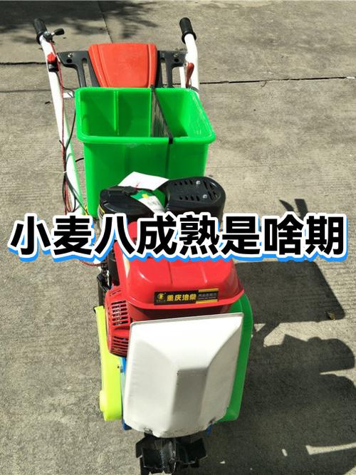 麦八有什么用图标