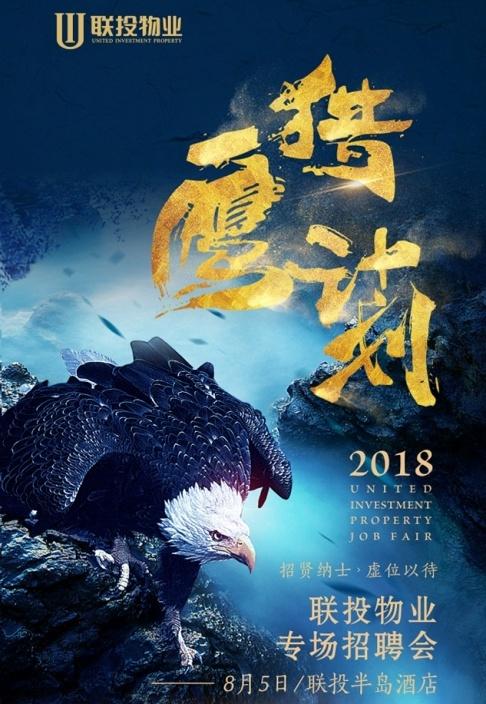 猎鹰网络招聘