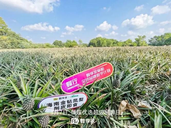 2026蜂享家掌柜降级了怎么办