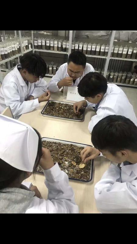 威海市卫生学校官网