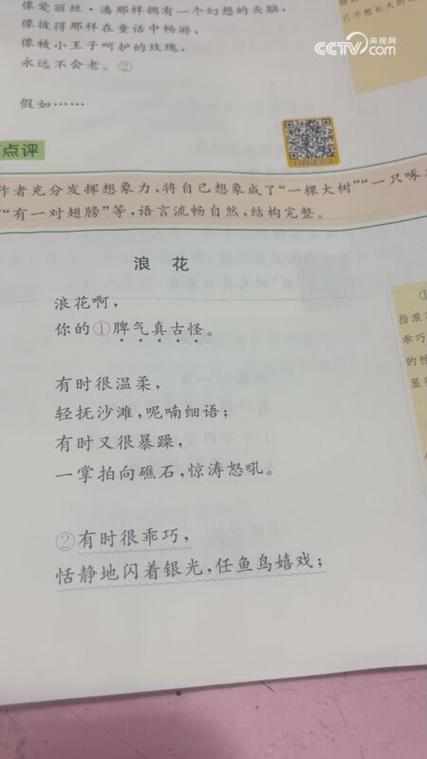 《浪花》全文免费阅读无弹窗