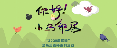 训鸟录音(你好)一直播放