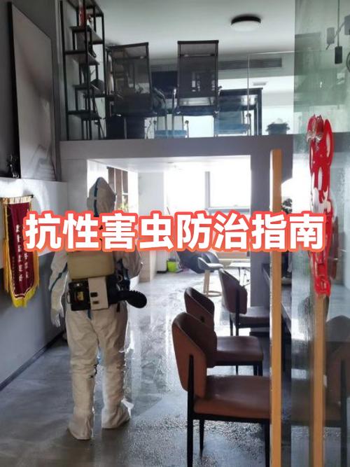 抗性提升的指令有哪些