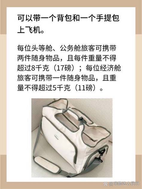 上飞机书包算手提包吗