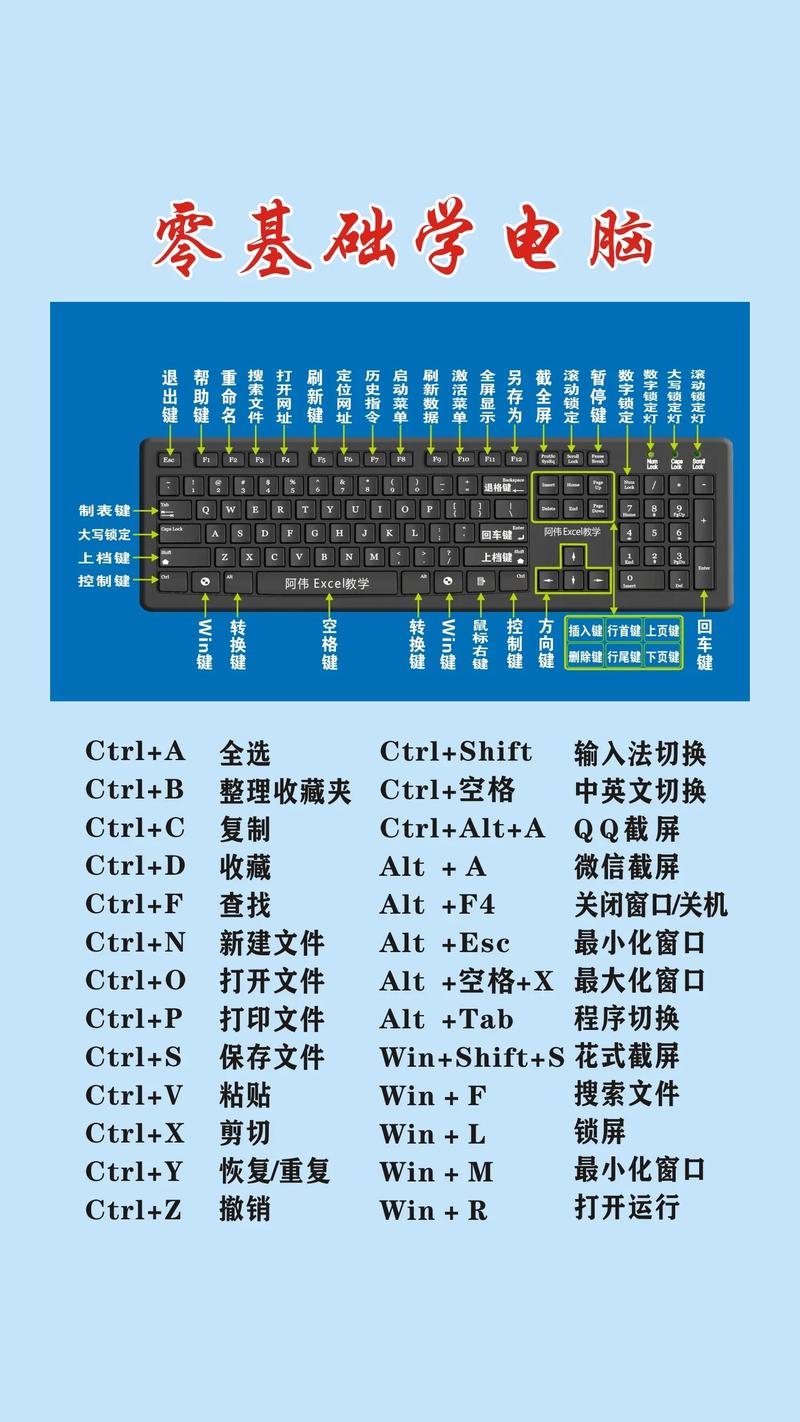 office基本知识