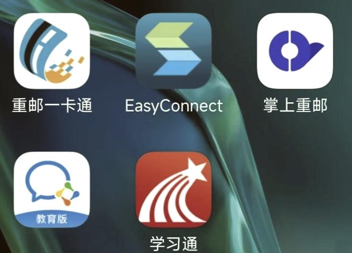 easyconnect下载图标