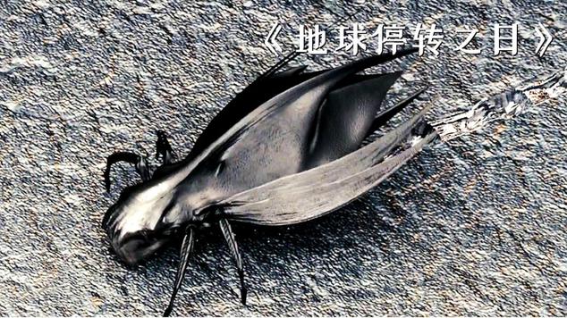 外星寄生虫入侵地球电影
