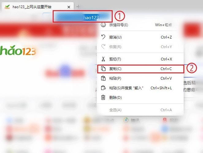 浏览器可以拉黑一个网址吗