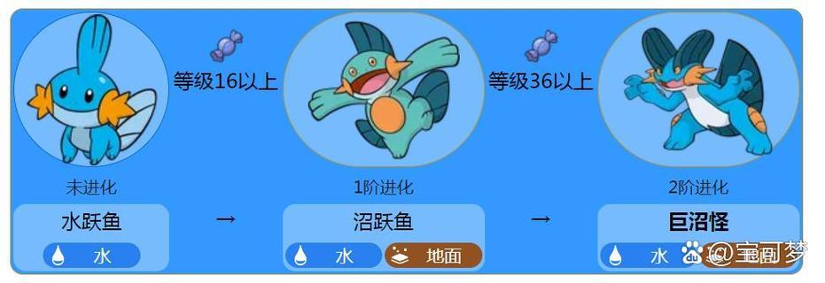 心金水跃鱼技能