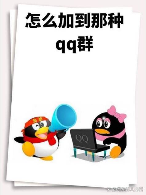 QQ群聊
