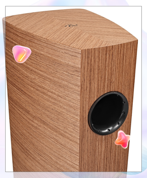 音响扩音器什么牌子好缩略图
