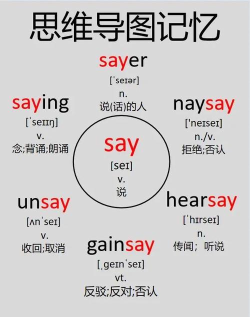 voice怎么读