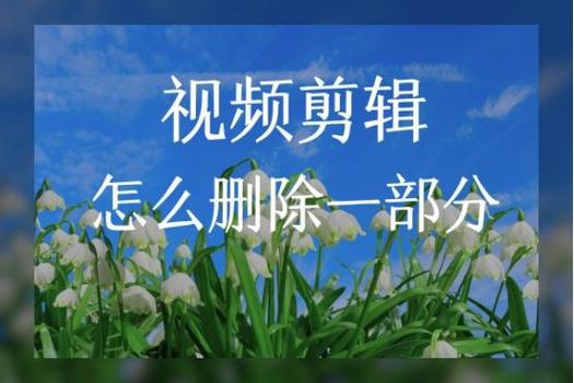 怎么剪视频多余的部分截图