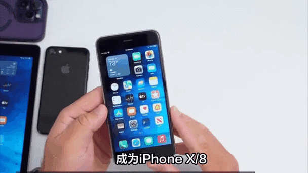 iphonex养老版本