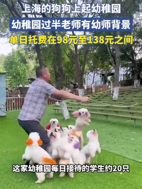 上海宠物托管