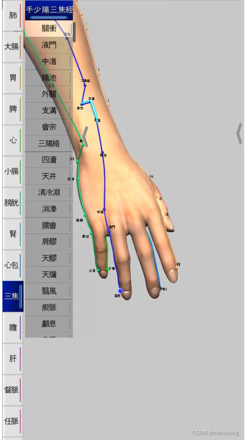 3D经络app下载安装