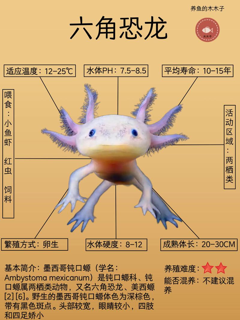 六角恐龙咬人吗