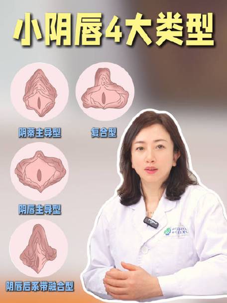 水滴型阴部是凸起来的吗截图