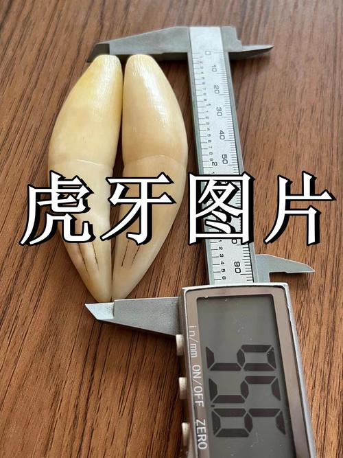 虎牙分成比例70%怎么算
