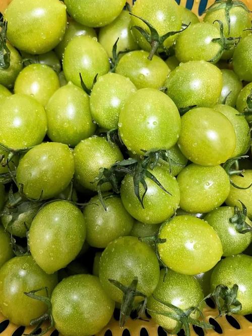 绿色的番茄叫什么