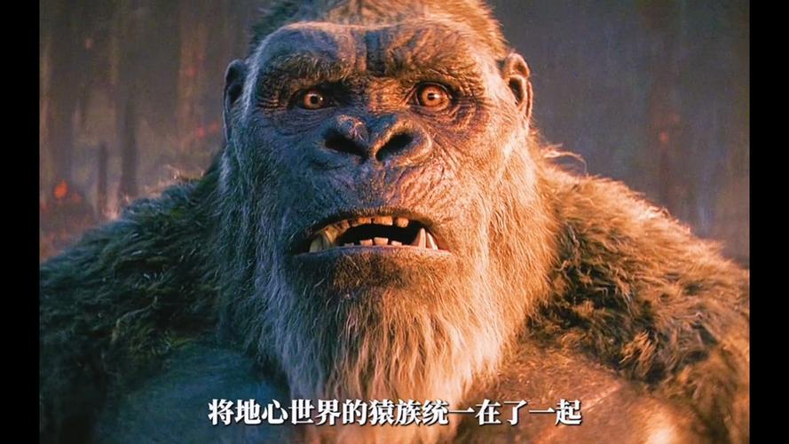 金刚国语游戏截图