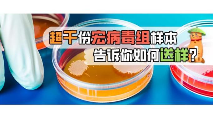 宏会带来病毒吗