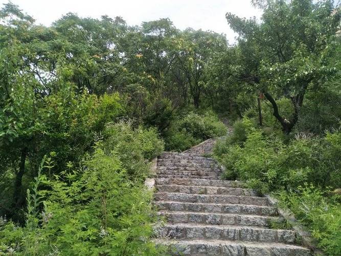 山东青云峰