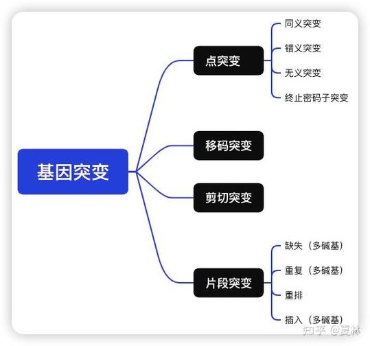 突变的基因能恢复吗