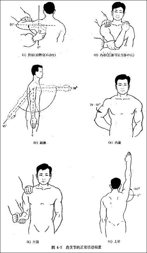 手臂关节技