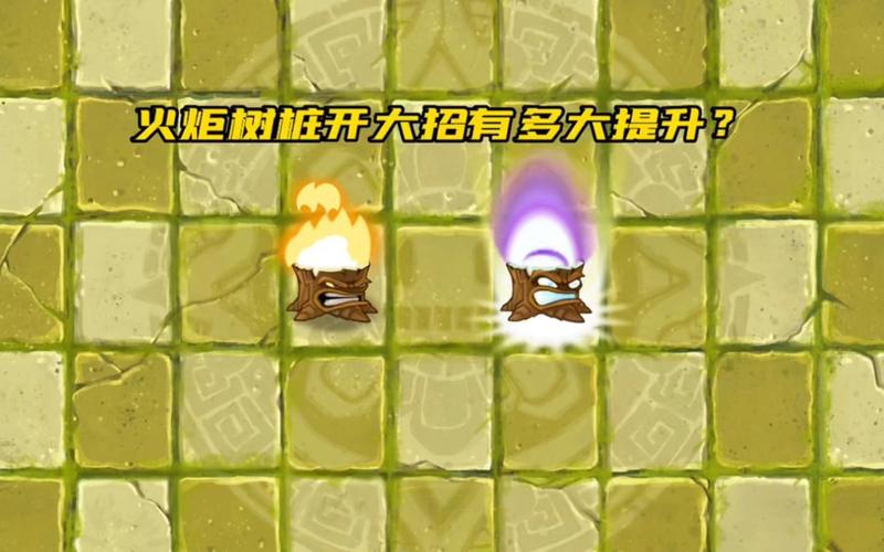 紫火树桩攻击力增加多少