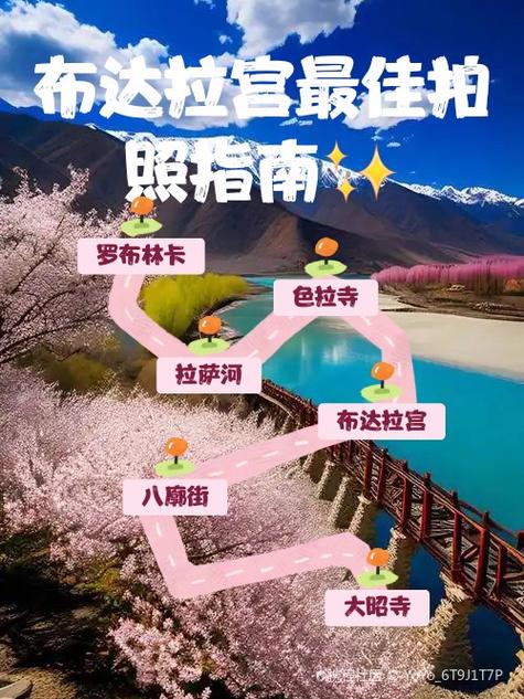摄像机拍照键在哪儿图标