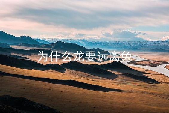 为什么龙要远离兔
