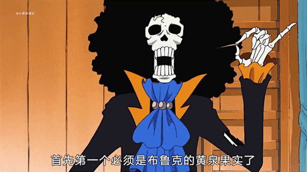 布鲁克为什么这么贵