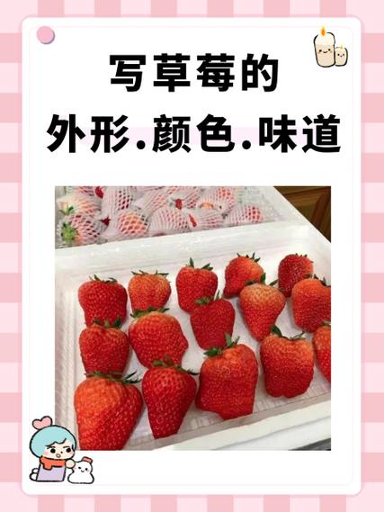 草莓的外形特点三年级