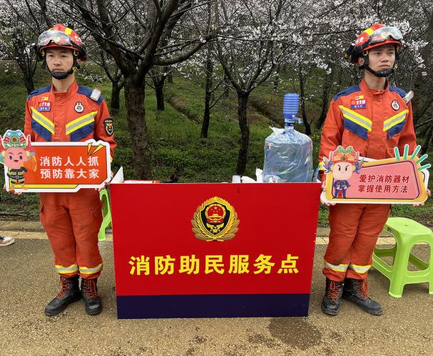 安徽消防便民服务E网通平台