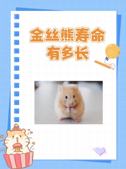 金丝熊寿命一般多少年