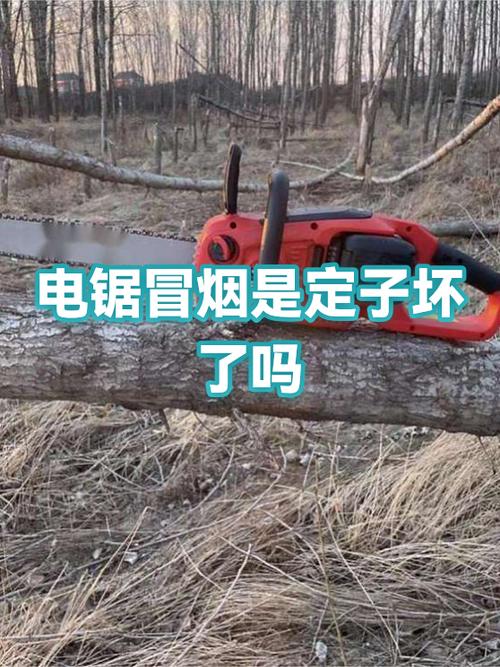 电锯冒烟了能修吗