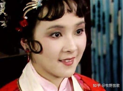 红楼梦中的养小叔子的含义