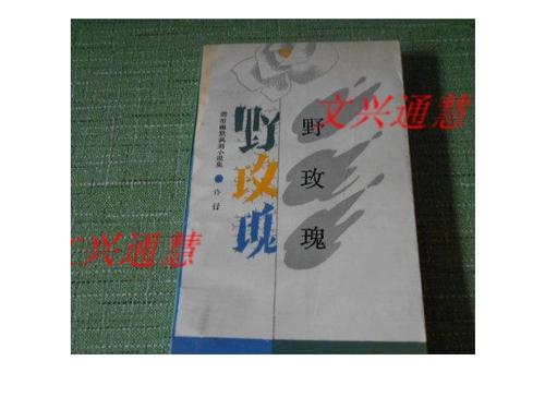 野玫瑰小说缩略图