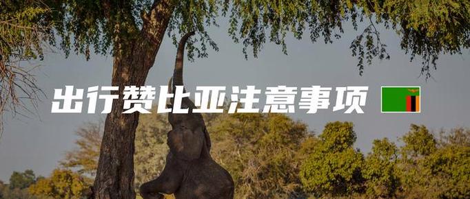 赞比亚打工的10大忠告