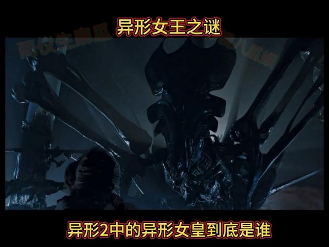 《全民:契约异形女皇,我杀疯了》