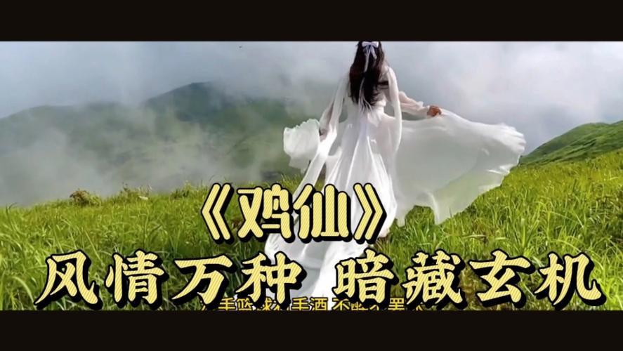 鸡仙.1.7.0