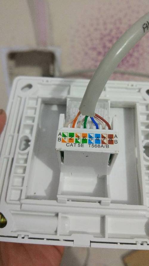 86型网线插座怎么接线