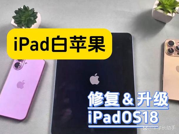 ipad白点点不见了怎么办