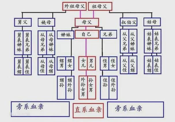 血缘关系最亲排序
