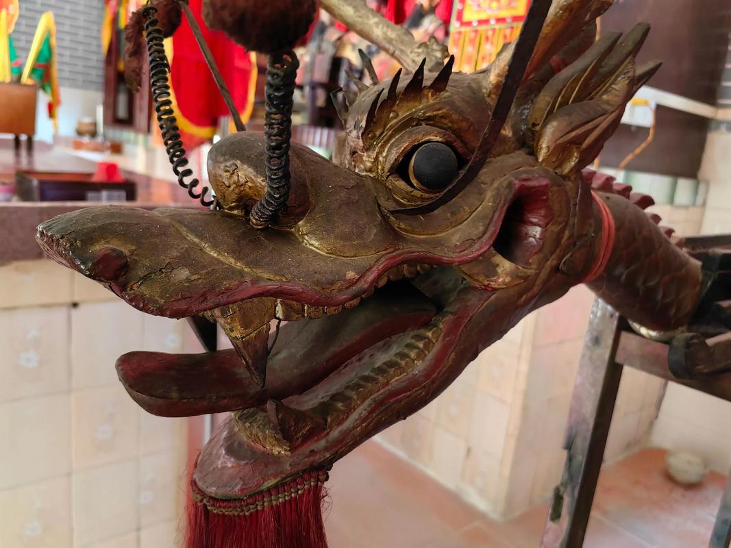 赢在龙头博客