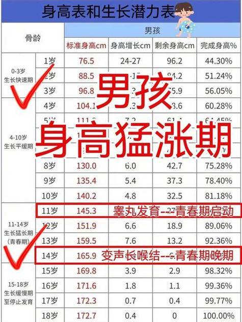男孩什么时候开始长个子