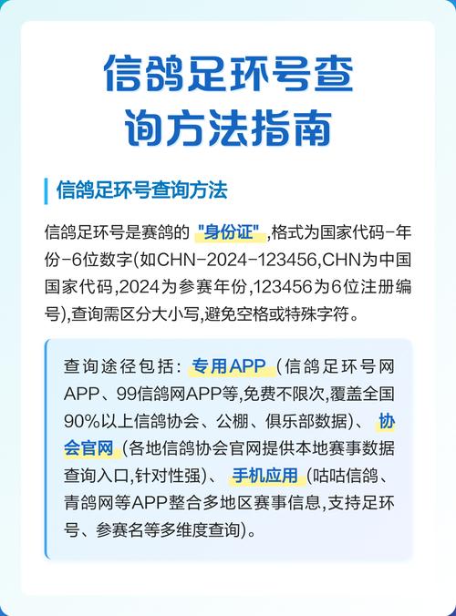 全国足环号免费查询